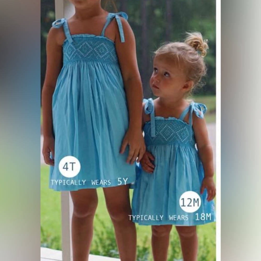 Blue smocked dress- well-dressed wolf